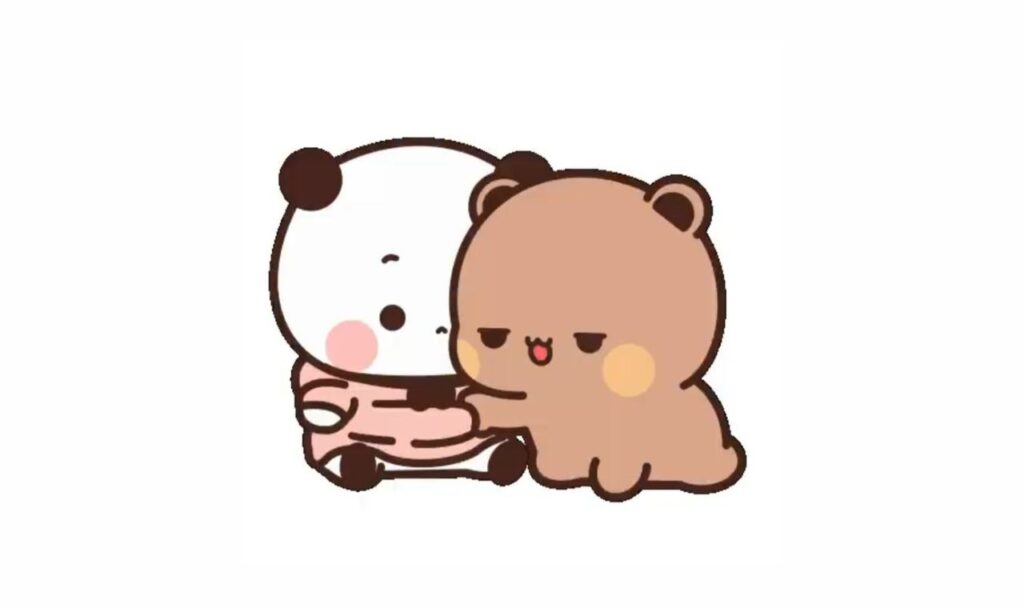 bear and panda illustration