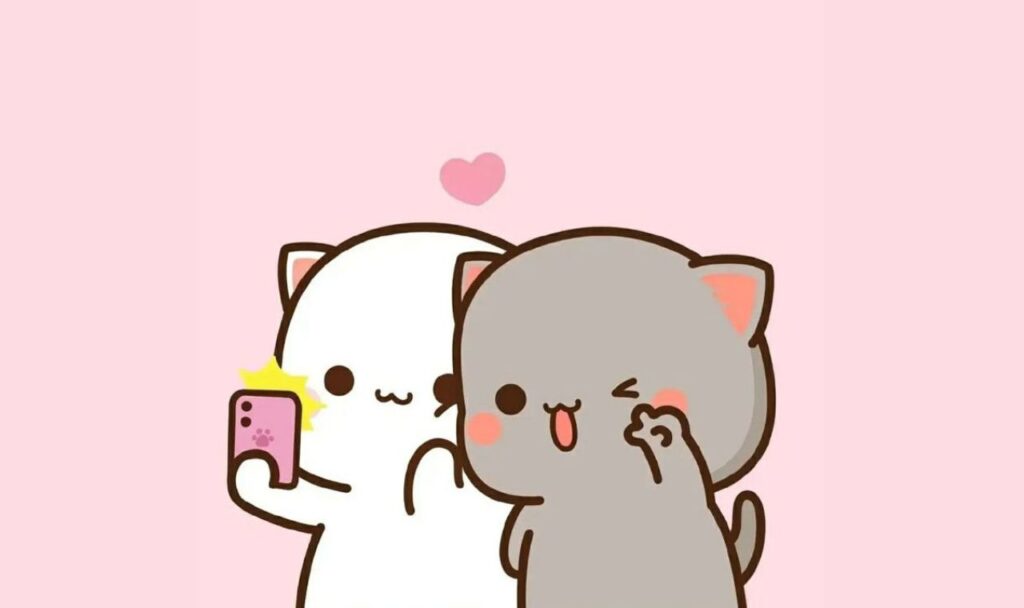cute cat couple taking selfie