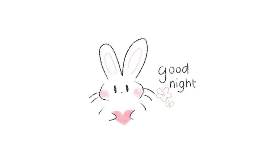 good  night rabbit