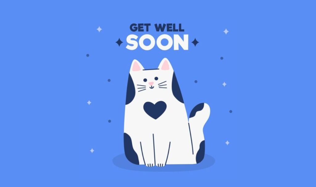cat is trying to say that get well sooon