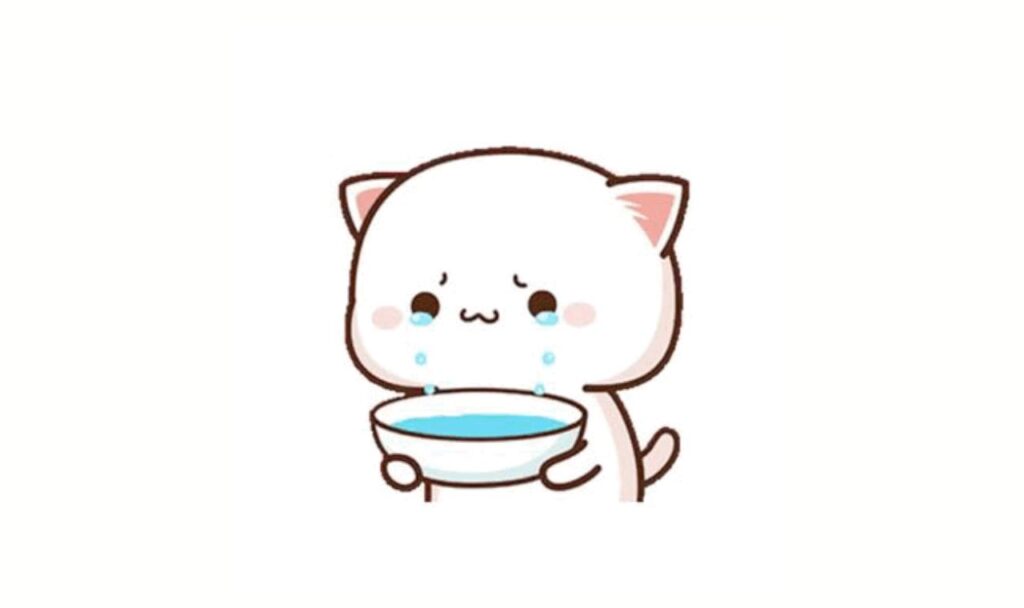 adorable cat filled a bowl with her tears