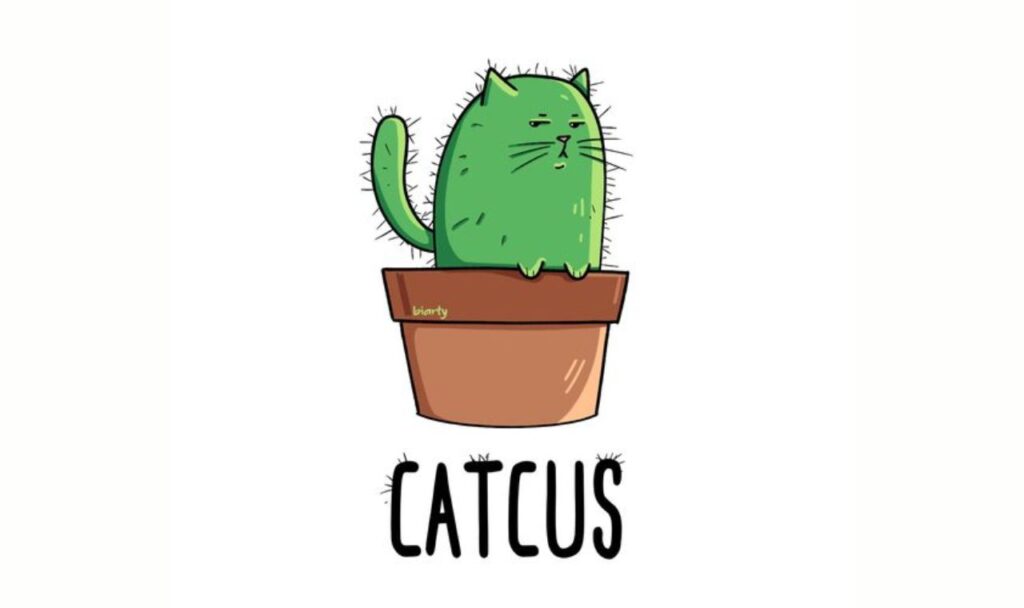 catcus