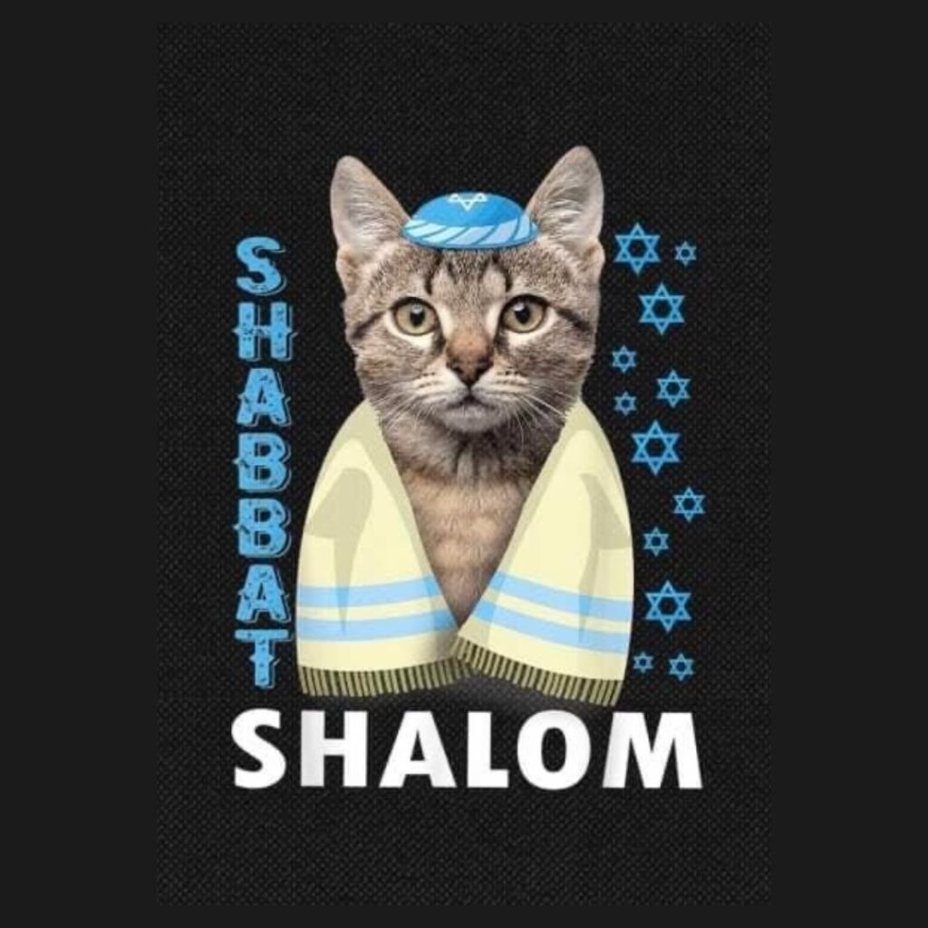 cat saying shalom